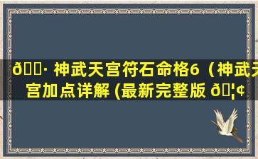 🕷 神武天宫符石命格6（神武天宫加点详解 (最新完整版 🦢 )）